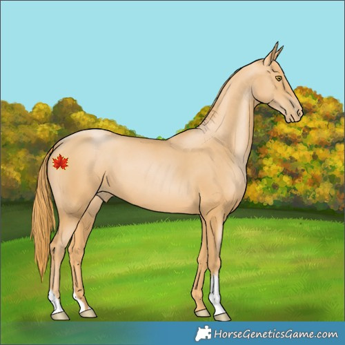 Horse Color:Chestnut Pearl 
