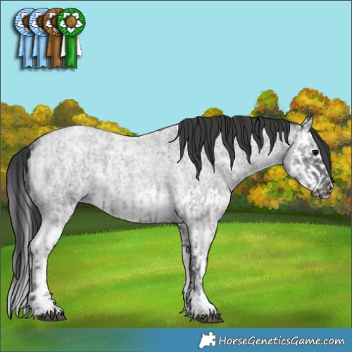 Horse Color:Blue Ice Roan  and Blue Ice Roan Splash 