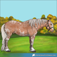 Horse Color:Silver Bay Ice 