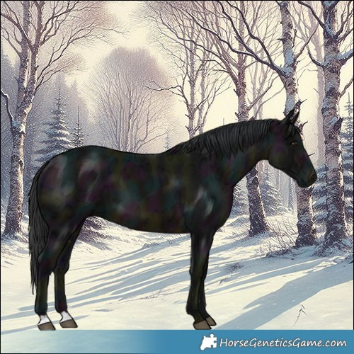 Horse Color:Midnight Brown Ice 