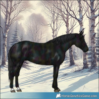 Horse Color:Midnight Brown Ice 