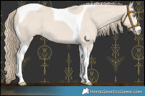 Horse Color:Smoky Creme Tobiano 