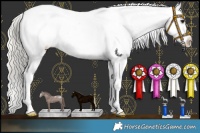 Horse Color:Silver Buckskin Roan Snowflake Varnish