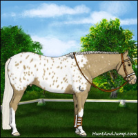 Horse Color:Silver Smoky Black Appaloosa