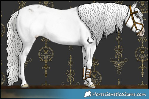 Horse Color:Silver Smoky Black Appaloosa 