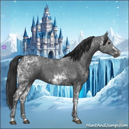 Horse Color:Blue Ice Roan and Blue Ice Roan Frame