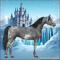 Horse Color:Blue Ice Roan  and Blue Ice Roan Frame 