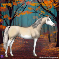 Horse Color:Silver Classic Champagne Dun Splash 