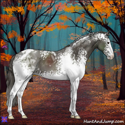 Horse Color:White Spotted Smoky Black Tobiano 
