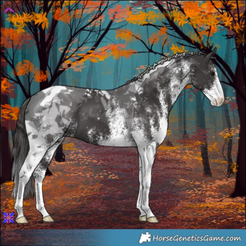 Horse Color:White Spotted Smoky Black Tobiano 