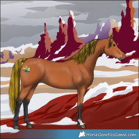 Horse Color:Painted Bay