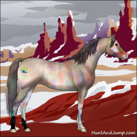 Horse Color:Nacre Bay Roan Onyx 