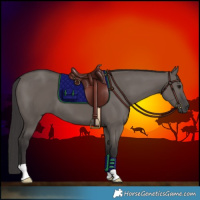 Horse Color:Smoky Grullo 