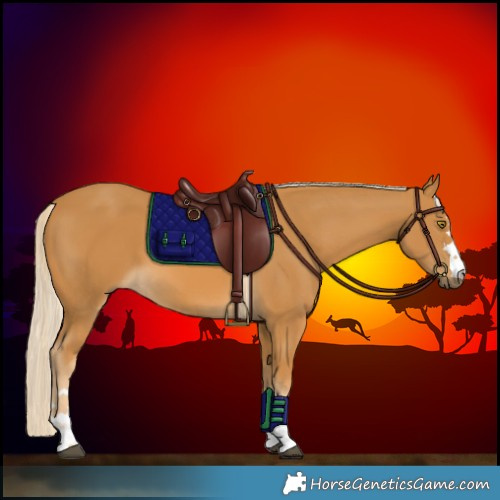 Horse Color:Palomino 