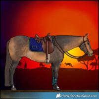 Horse Color:Buckskin Rabicano