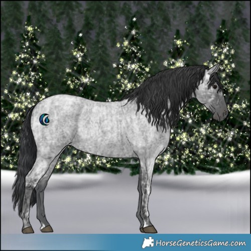 Horse Color:Blue Ice Roan  and Blue Ice Roan 