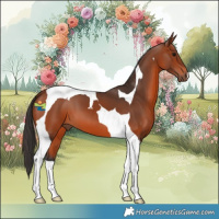 Horse Color:Bay Tobiano 