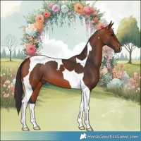 Horse Color:Bay Tobiano 