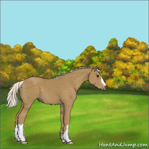 Horse Color:Silver Smoky Black 
