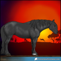 Horse Color:Black 