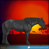 Horse Color:Black 