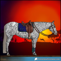 Horse Color:Smoky Black Snowflake Varnish 
