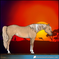 Horse Color:Chocolate Palomino Dun Tobiano 