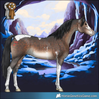 Horse Color:Brown Sabino Tobiano 