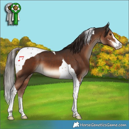 Horse Color:Liver Chestnut Sabino Tobiano 