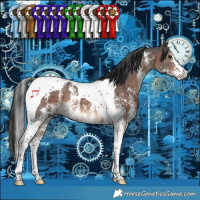 Horse Color:Brown Sabino Tobiano 