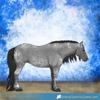 Horse Color:Blue Ice Roan  and Blue Ice Roan 