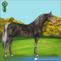 Horse Color:Void Brown Ice Roan  and Void Silver Smoky Blue Ice Roan 