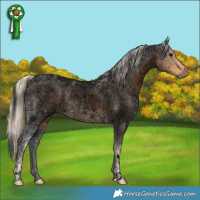 Horse Color:Void Brown Ice Roan and Void Silver Smoky Blue Ice Roan