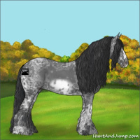 Horse Color:Blue Ice Roan  and Blue Ice Roan Frame 