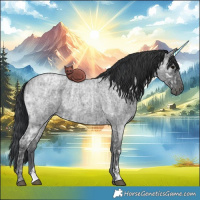 Horse Color:Blue Ice Roan and Blue Ice Roan