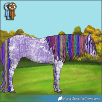 Horse Color:Painted Watercolor Blue Ice Roan  and Painted Watercolor White Spotted Black Ice Splash Tobiano 