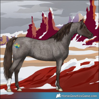 Horse Color:Liver Red Roan 
