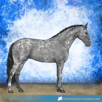 Horse Color:Blue Ice Roan  and Smoky Blue Ice Roan 