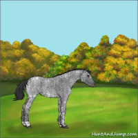 Horse Color:Blue Ice Roan  and Blue Ice Roan 