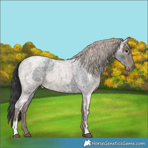Horse Color:Blue Ice Roan  and Silver Blue Ice Roan 