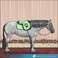 Horse Color:Blue Ice Roan  and Blue Ice Roan 