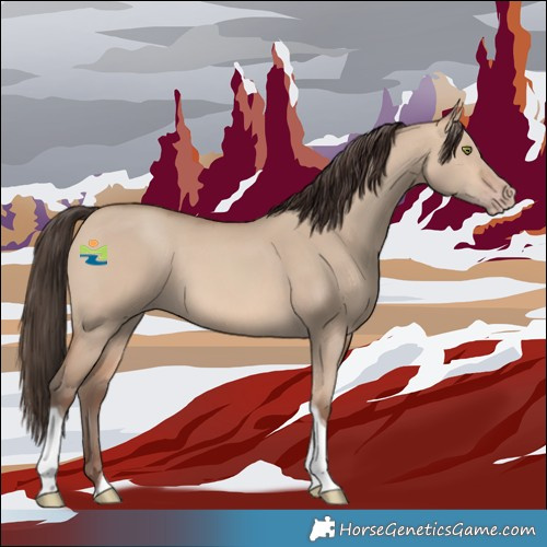 Horse Color:Amber Champagne Dun Tobiano 