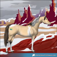 Horse Color:Buckskin Dun Tobiano 
