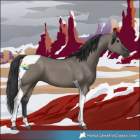 Horse Color:Grullo Tobiano 