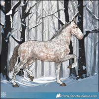 Horse Color:Bay Snowflake Varnish