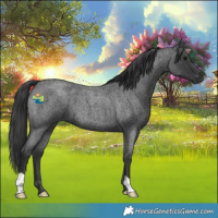 Horse Color:Blue Roan 