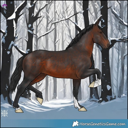 Horse Color:Brown 