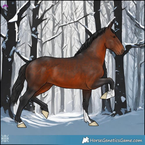 Horse Color:Brown 