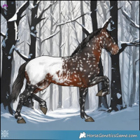 Horse Color:Brown Near Fewspot 