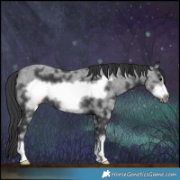 Horse Color:Black Sabino Frame